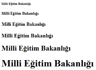 hx etiketi