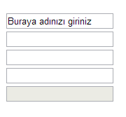 input text