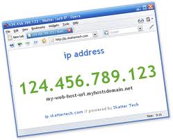 ip numarası